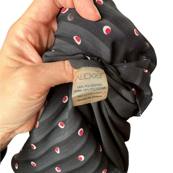 Alexis | Lanni Polka Dot Pleated Crepe-de-Chine
Wide Leg Pants XS - Picture 6 of 9